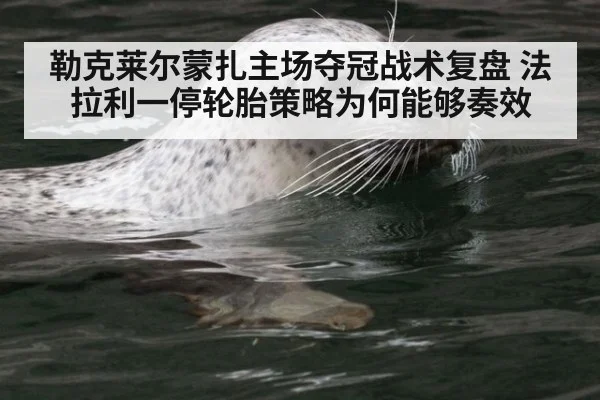 勒克莱尔蒙扎主场夺冠战术复盘 法拉利一停轮胎策略为何能够奏效