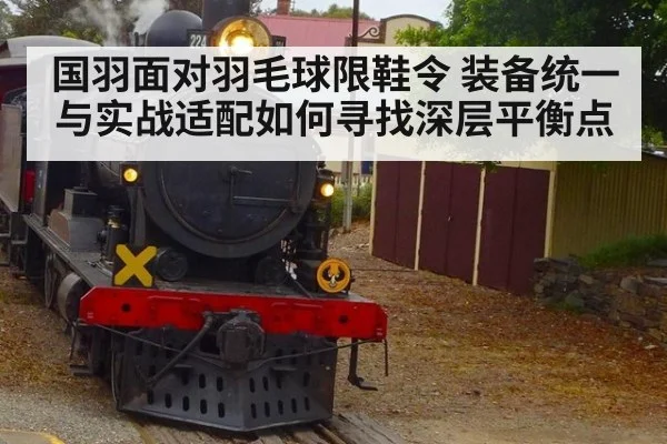 国羽面对羽毛球限鞋令 装备统一与实战适配如何寻找深层平衡点
